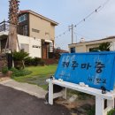 제주마중in판포 이미지