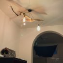 신흥부부민박 이미지