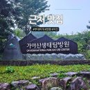 봉양로 | 가야산 생태탐방원 맛집 3곳 2박 여행자의 진짜 후기
