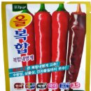 현대종묘농약사 네이버블로그