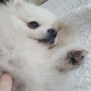 해랑동물병원 이미지