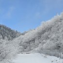 천곡방파제 이미지