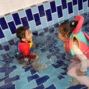잼잼풀빌라 키즈펜션 이미지
