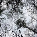 선재마을 이미지