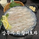 [범계 횟집] 제철 대하도 삼부자 회 활어포차
