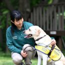 센텀초교 이미지