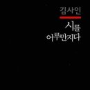 시에게 가는 길 이미지