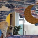 끄레므멍 이미지