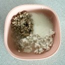 사임당로17길 90 (7) | 심장병 B2 강아지 발치 수술 후기 [케어덴 동물치과병원]