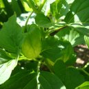 아래농장 이미지