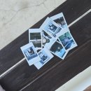 철이네 촌캉스 이미지