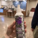 황금애견 이미지