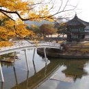 향원정 - 부여군 | 향원정