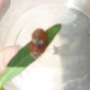 은빛유치원 이미지