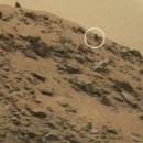 큐리오시티 이미지