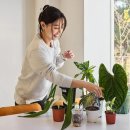 스튜디오그라씨 이미지