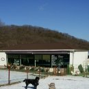 oh my dog(오마이독) 이미지