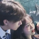 CW-2300-01 | 입으면 2배 잘생겨지는 겨울 코디 5가지 추천해줄게요!