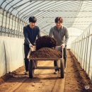 전주동산인력 네이버블로그