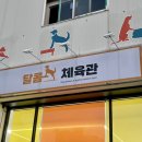 달콤체육관 네이버블로그