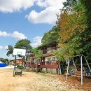 동면 덕치길 이미지