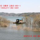 대흥면011 Daum카페