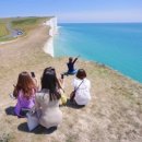 마이김밥 이미지