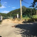 산수골캠핑장 이미지