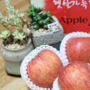 영승농장 네이버블로그
