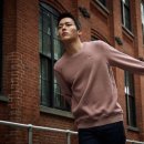 그라티아 이미지