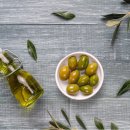 올리브독 이미지