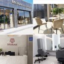 모락스칼프 이미지