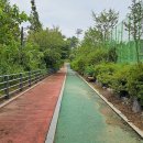 안중레포츠 공원 체육시설 축구장 이미지