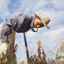 한농영농조합법인 이미지
