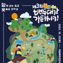 가을 숲으로 놀러가자 이미지