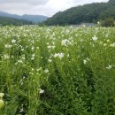 창수농장 이미지