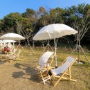 준피티샵 이미지