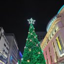 명동 | 명동 맛집 | 명동 중식당 딤딩완탕 후기