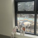 도기크루 이미지