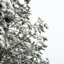 미헤어카페 이미지