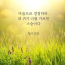「2023년 대구 올해의 책」 선포식 | 26년 7월 이야기, 25일은 회양목에 찾아 든 부엉이 삼형제, 큰광대노린재 보며 작고 여린 생명들이 이어...