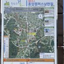 매지천교