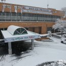 주정차31 이미지