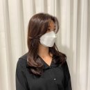 더 크라운 헤어 이미지