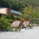 솔향가득 봉화캠핑장 이미지