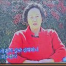 시골애미 Daum카페