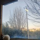 씨유 진해안골바다점 | 바다위산아래 솔직후기, 진해 굴 애견동반