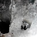 개팔자 상팔자 이미지