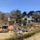 이승엽당구장 한국일보