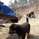 병암농장 이미지